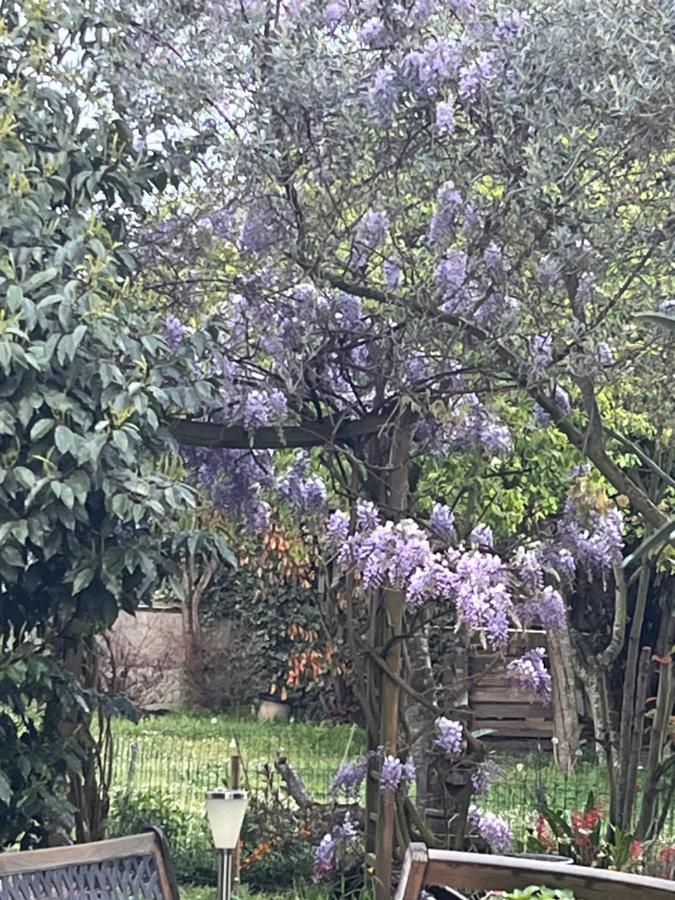 A Room And Garden Close To Paris Vitry-sur-Seine Luaran gambar